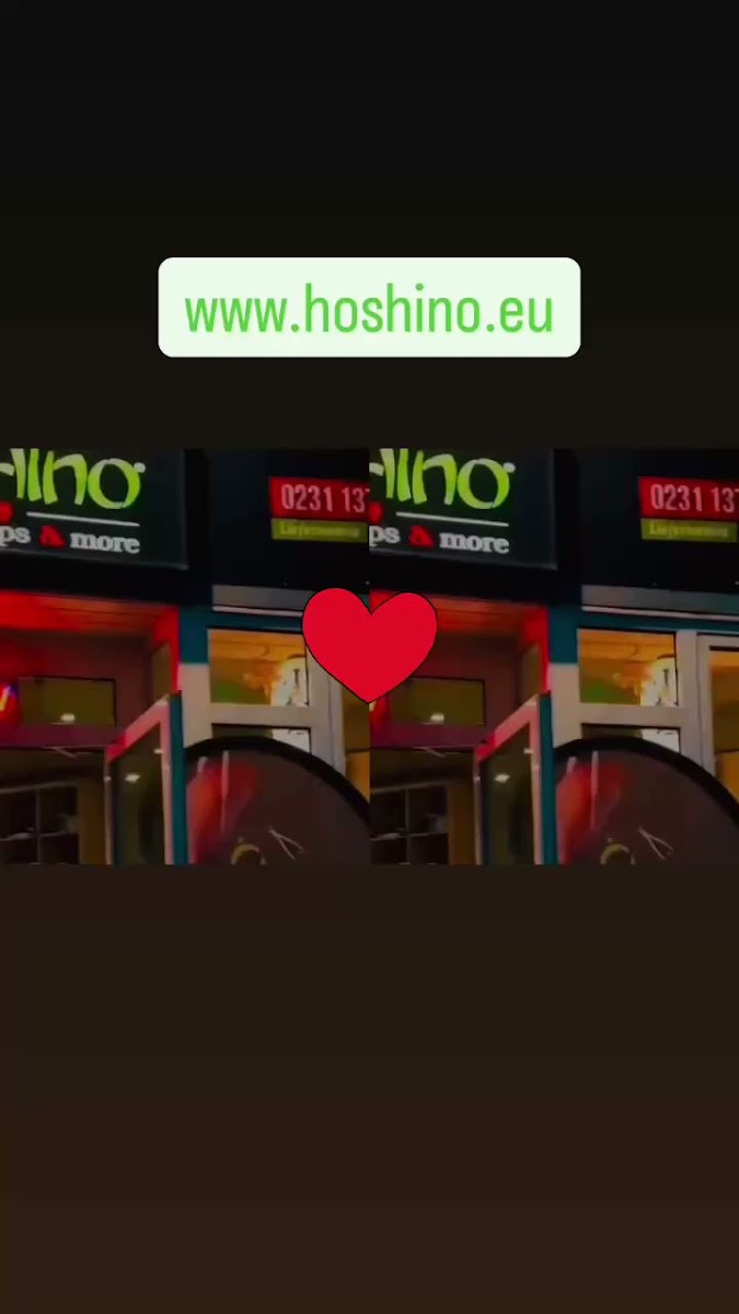 Hoshino — photo 1