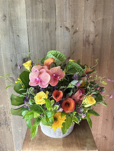 ジョロフロール