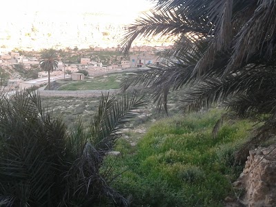 Photos of مدرسة عقبة بن نافع