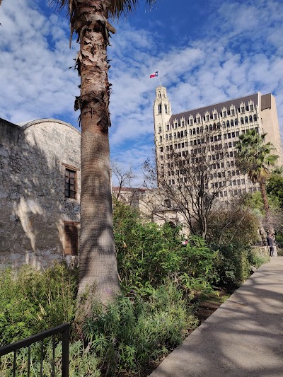 The Alamo