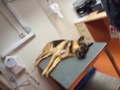 Photos of Caressa Animal Hospital Amsterdam