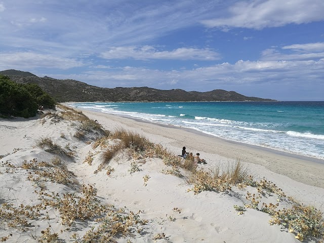 Plage de Saleccia