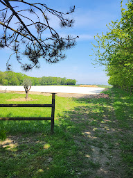Photo n°10 de Haras Dell'Alba à Saint-Éliph (Entraîneur de chevaux)