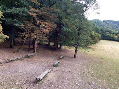 Photos of Wild-Freizeitpark-Westerwald