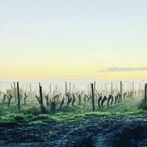 Domaine de la Salpetrière - Thumbnail