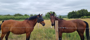 Photo n°25 de Domaine de Combelles centre équestre, équitation à Le Monastère (Centre équestre)