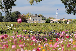 Photo n°20 de Château Montrose à Saint-Estèphe (Vignoble)