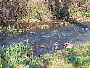 Photo n°72 de Camping de l’Ardan à Chaumot (Restaurant)