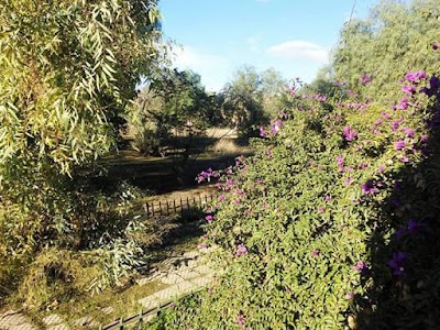 Photos of Public garden