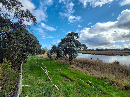 Seaford Wetlands Viewing Platform