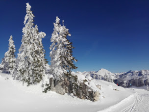 Photo n°8 de Les Esseroliettes à Arith (Réserve naturelle)