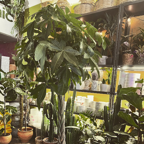 Green & Organic Γεωπονικό Κατάστημα - Θεσσαλονίκη