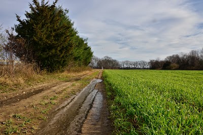 Doug Rayner Wildlife Refuge