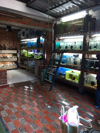 Photos of Vetmarket acuario Envigado Medellin