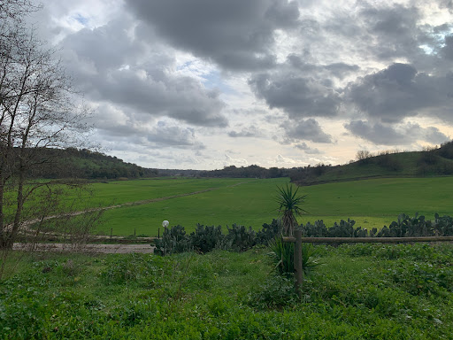 Agriturismo La Mangiatoia - Thumbnail