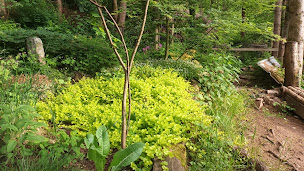 Photo n°2 de Les Êtres de Gaïa à Bourg-Bruche (Jardinier)