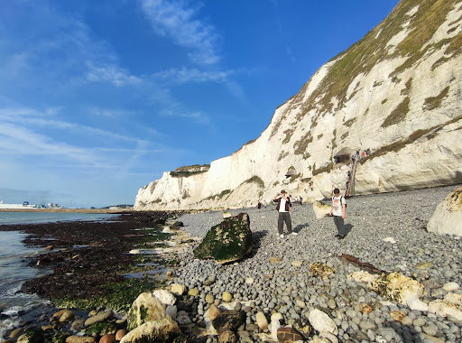 Dover (Irish Ferries) - Thumbnail