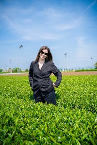 動画屋素直（映像クリエイター）