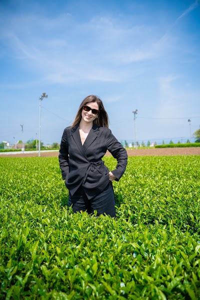 動画屋素直（映像クリエイター）