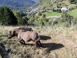 Photo n°7 de ASSOCIATION EQUI'BOUTX à Boutx (Appartement de vacances)