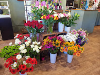 Fleurs de Pot à Labruguière