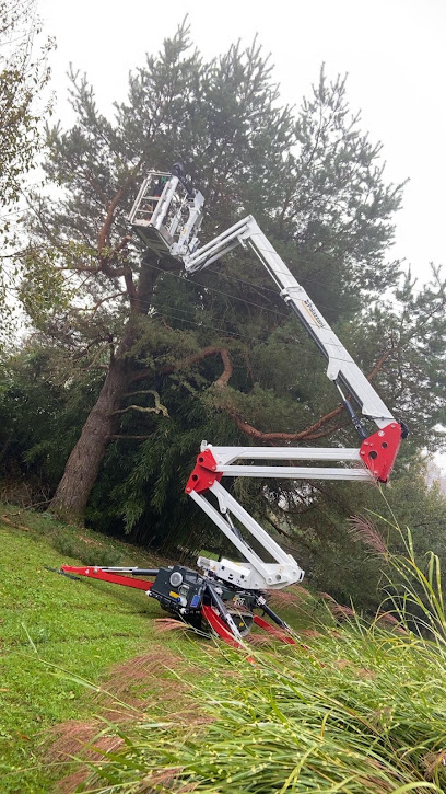 Dany Paysagiste - élagueur Montereau Fault Yonne : Jardinier espaces verts Cannes Ecluses