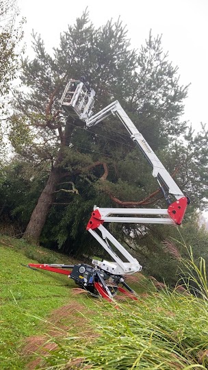 Photo de Dany Paysagiste - élagueur Montereau Fault Yonne : Jardinier espaces verts Cannes Ecluses