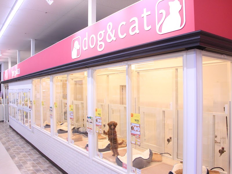 ペットショップワンラブ コーナン イオン長浜店