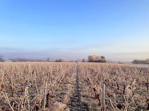 Photo n°2 de Domaine des Tilleuls à La Regrippière (Cave à vins)
