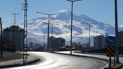 park