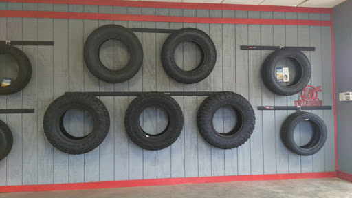 Warrior Tire - Visual
