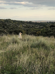 Photo n°21 de Lamadoué à Murviel-lès-Montpellier (Ferme d'élevage)