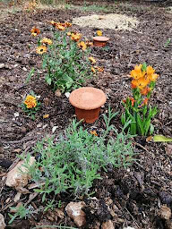 Photo n°11 de Térra idria à Aujargues (Magasin de poteries)