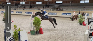 Photo n°3 de Écuries Montévaste à Berles-au-Bois (Centre équestre)