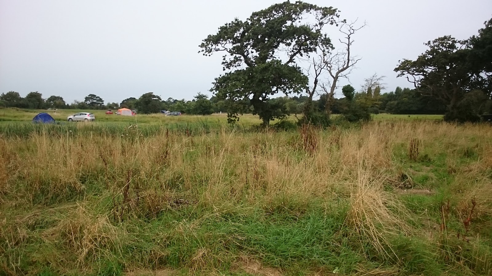 Tripify Donnington Wild Camping Chichester