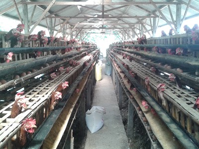 Photos of UD SETIA KAWAN FARM