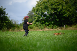 Photo n°3 de Skol Dogs à Langonnet (Dresseur pour chiens)