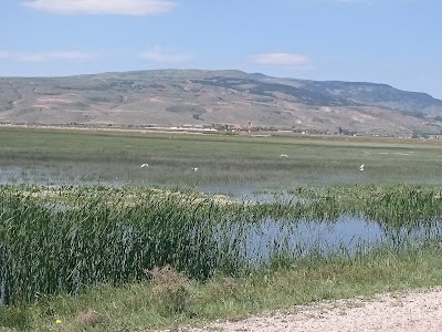 Photos of Bolvadin Heybeli Termal Tesisleri