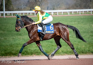 Photo n°2 de Haras de l'Iton à La Ferrière-au-Doyen (Éleveur de chevaux)