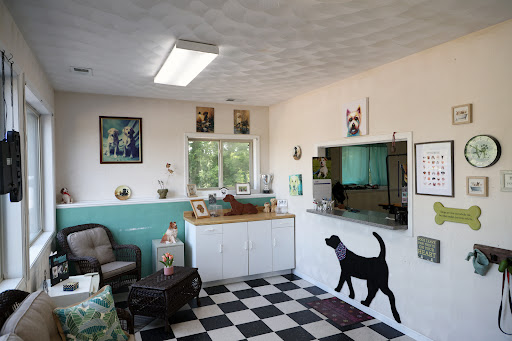 Barkin' Babies Professional Dog Grooming