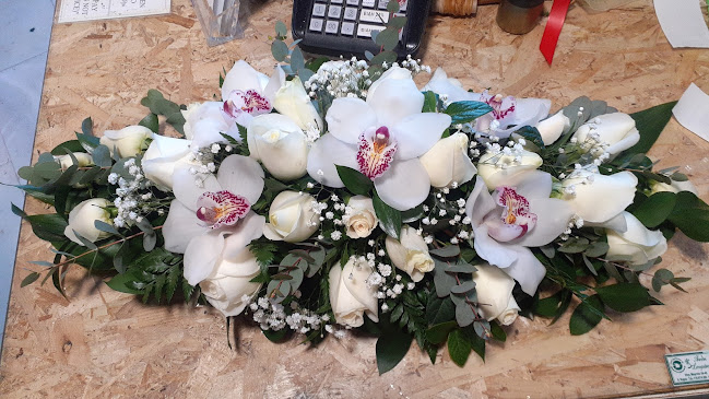 ΣΠΥΡΑΚΗΣ ΣΠΥΡΙΔΩΝ