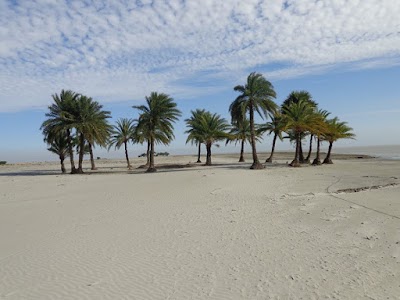 Photos of Nijhum Dwip