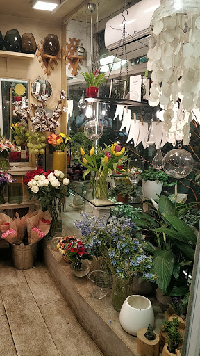 Aviv Flowers - Thumbnail
