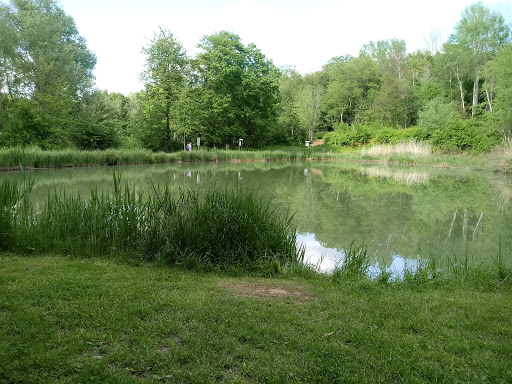 Steinfurther Teiche