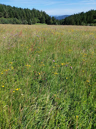 Photo n°2 de ferme du grand pré à Roche-en-Forez (Ferme)