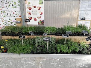 Photo n°3 de EARL Roubaud Plants à Auriol (Pépinière)