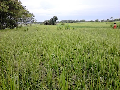 Photos of laboratorium pertanian