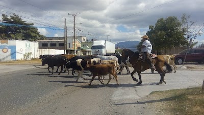 Photos of FFACSA Santa Luc&iacute;a Cotzumalguaga, Escuintla
