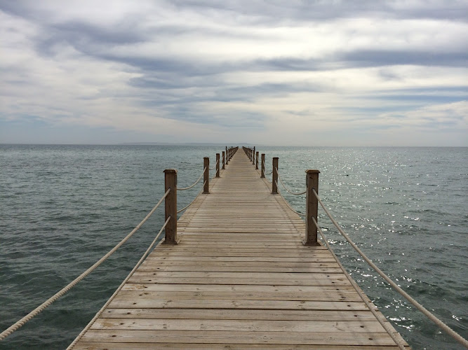 Dr. Ralf Lauterbach - Unternehmensberatung photo