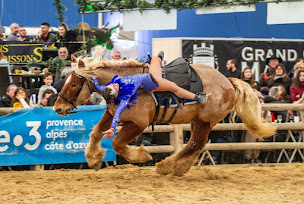 Photo n°18 de Domaine Equit’fun à Mas Caparon (Centre équestre)